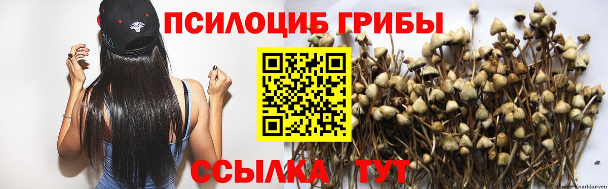 Псилоцибиновые грибы Cubensis  Вход с VPN  Калач-на-Дону  Псилоцибиновые грибы MAGIC MUSHROOMS 